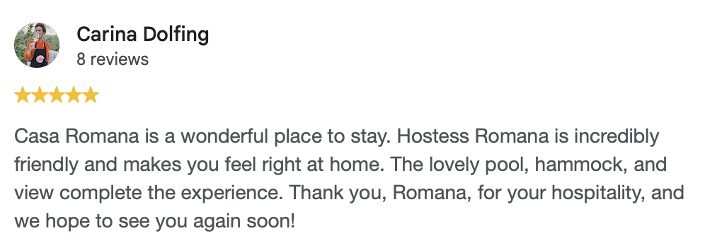 Google review from Carina Dolfing